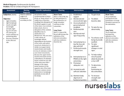 Nursing Care Plan Diagram