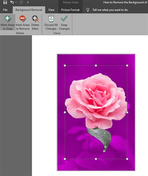 How To Remove The Background From Picture In Microsoft Word