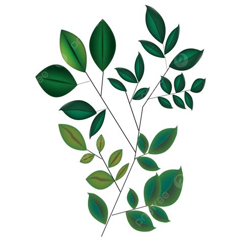 Plantas De Hoja Verde Vector PNG Plantas De Hoja Verde Planta PNG Y