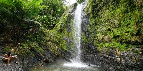 Visiting El Yunque National Forest In Puerto Rico