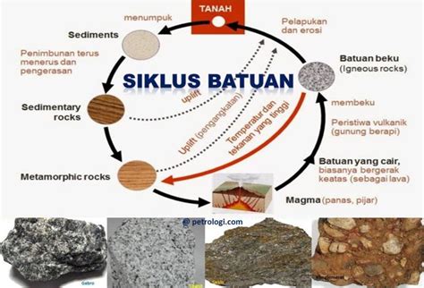 Proses Pembentukan Batuan Sedimen