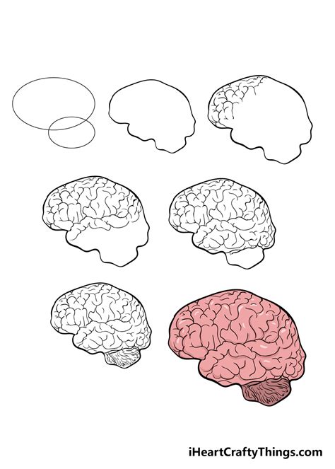 Brain Drawing How To Draw A Brain Step By Step