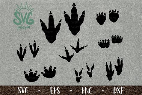 Dinosaur Tracks Svg Bundle Dinosaur Footprints Png Dxf Eps Etsy