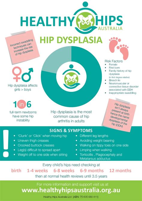 Infant Hip Dysplasia Signs And Symptoms Healthy Hips Australiahealthy