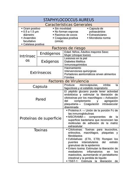 Streptococcus Aeurus Cuadro Resumen Staphylococcus Aureus