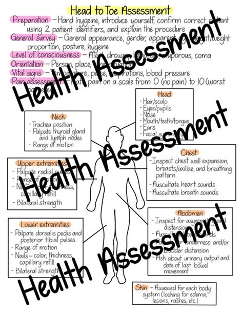 Head To Toe Assessment Checklist Printable Hopconnect