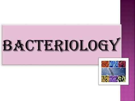 PPT MICROBIOLOGY Practical Class PowerPoint Presentation Free