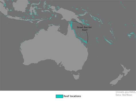 Well priced great barrier reef day tour, including bbq lunch. Great Barrier Reef suffers through record-breaking ...