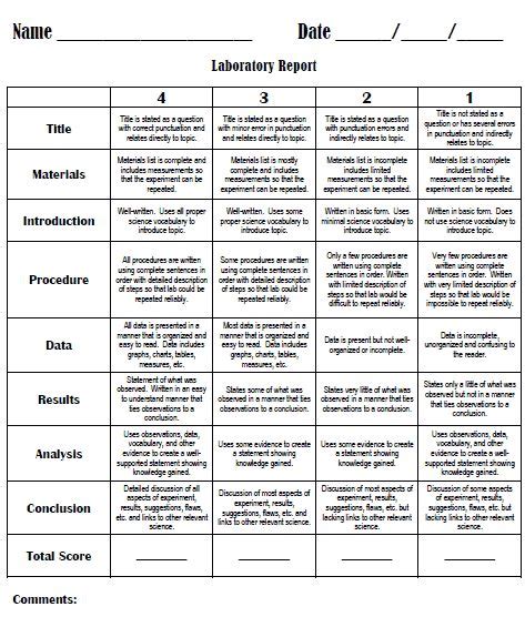 Rubrics For Science Activity