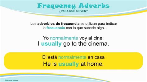 Gramática Inglés Adverbios De Frecuencia Youtube