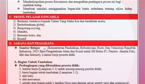 Contoh Modul Projek Penguatan Profil Pelajar Pancasila Kurikulum Merdeka Images And Photos Finder