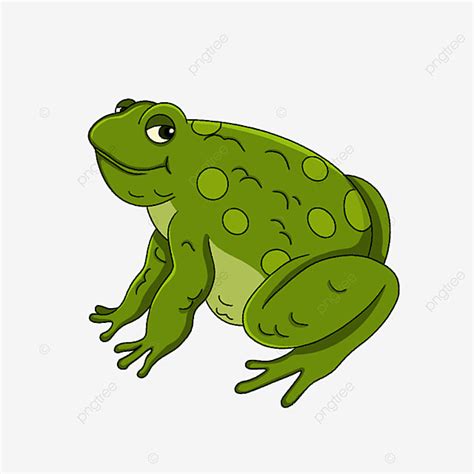 Toad Clipart Transparent Background Green Fat Toad Clipart Toad