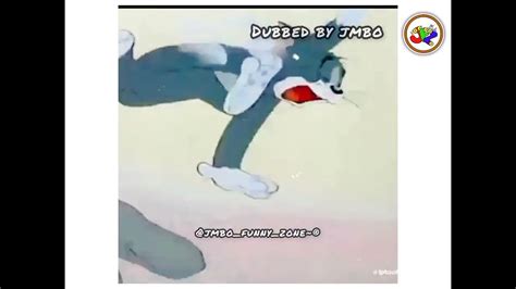 Tom And Jerry 3 Episodes In One Video Tom And Jerry Show Tom