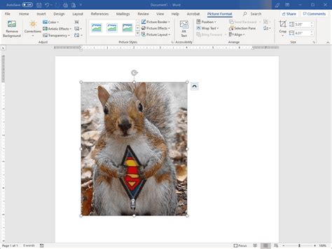 How To Remove Image Fill Or Backgrounds In Microsoft Word