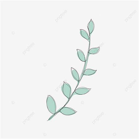 Dibujo De Dibujo Lineal Hojas Minimalistas En Planta Color Pastel PNG