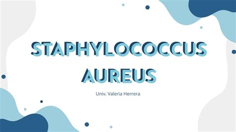 Staphylococcus Aureus Imed Apuntes Udocz