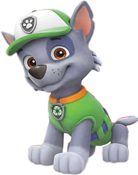 Paw Patrol Rocky Png Images Transparent Background Png Play