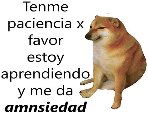 Meme Cheems Para Cuando Aprendas A Conducir Aprendiendo A Conducir