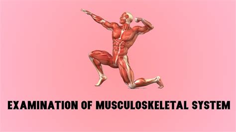 Examination Of Musculoskeletal System Youtube