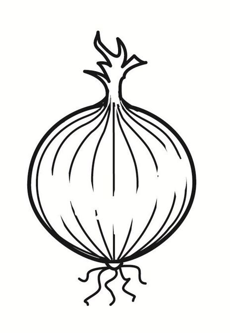 Coloring Pages Printable Onion Coloring Page