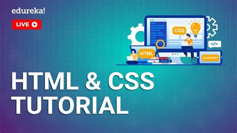 HTML CSS Tutorial For Beginners Learn HTML CSS Full Stack