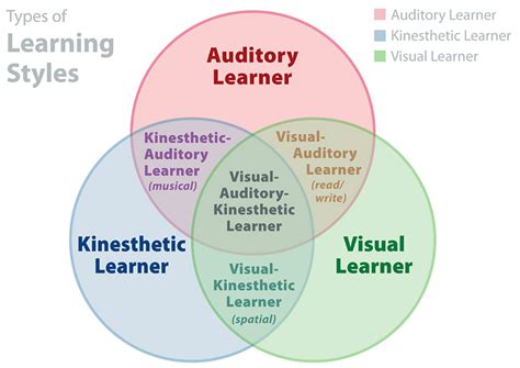 Discover Your Learning Style The Definitive Guide Education Corner