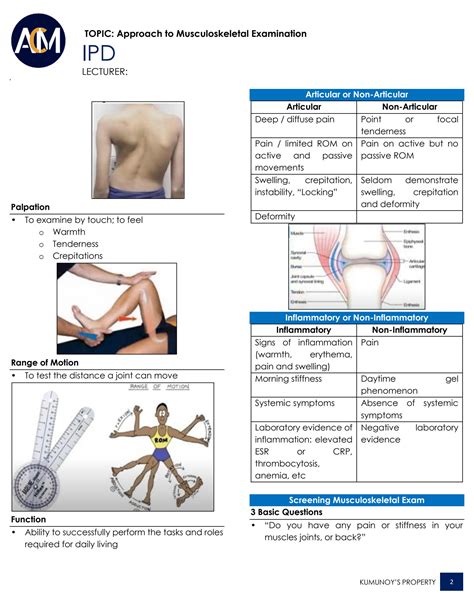 Solution Approach To Musculoskeletal Examination Studypool