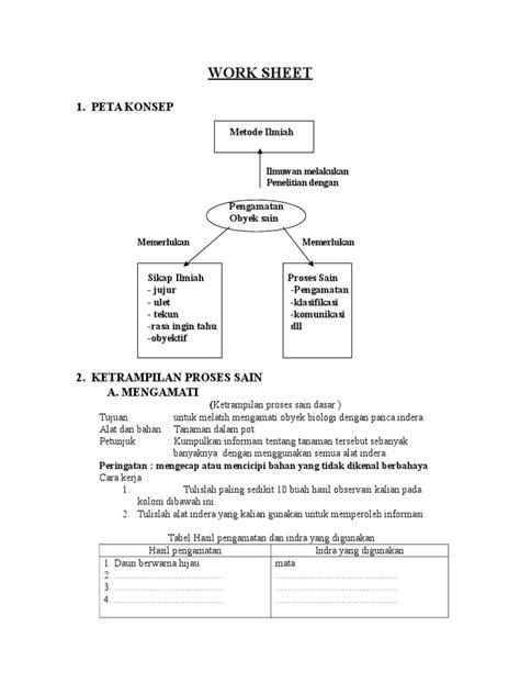 Lembar Kerja Siswa Pdf Lembar Kerja Peserta Didik Interactive Worksheet