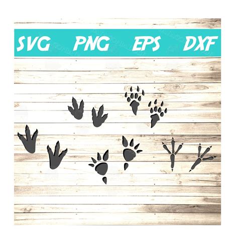 Dinosaur Foortprint Svg Dinosaur Footprint Svg Bundle Svg File For