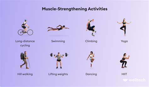 List Of Muscular Strength Exercises