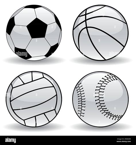 Vector Set Of Various Sport Balls Stock Vector Image And Art Alamy