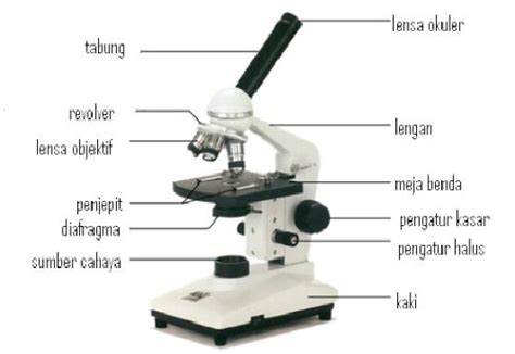 Alat Optik Pengertian Jenis Macam Dan Gambar