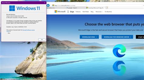 Dune Manière Ou Dune Autre Internet Explorer Vit Au Fond Des