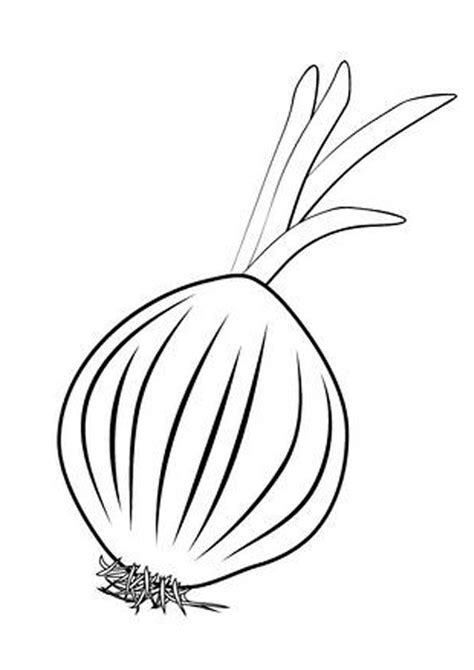 Vibrant Onion Coloring Page