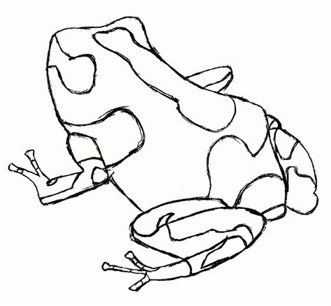 The mouth line is an extremely thin line right below the. Poison-dart Frog Coloring Page - Coloring Home