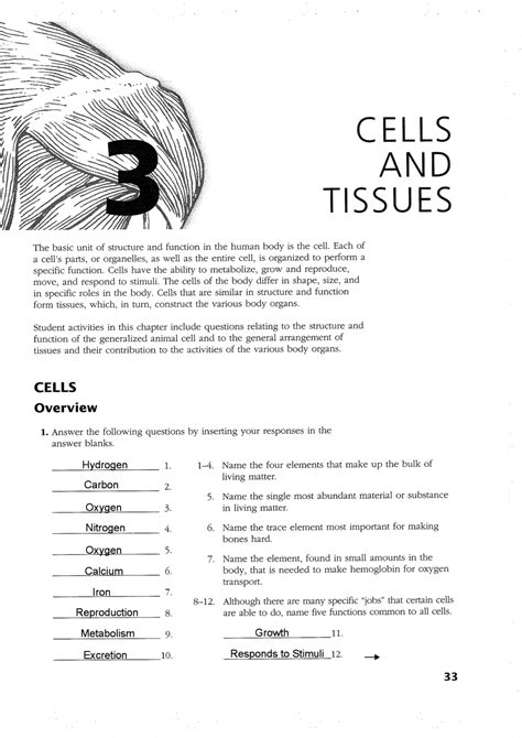 Cell Review Guide Answer Key Worksheets Library