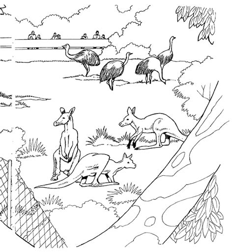 Coloriage Le Zoo Gratuit 11715 Animaux