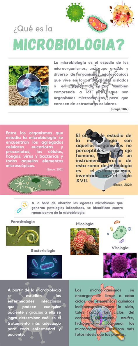 Microbiolog A Y Parasitologia Qu Es La Microbiologia La