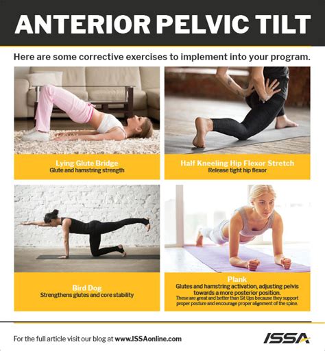 Pelvic Tilt What Is It And How Do You Correct It Issa 2022