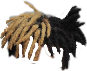 Cartoon Dreads PNG Images Transparent Free Download PNGMart