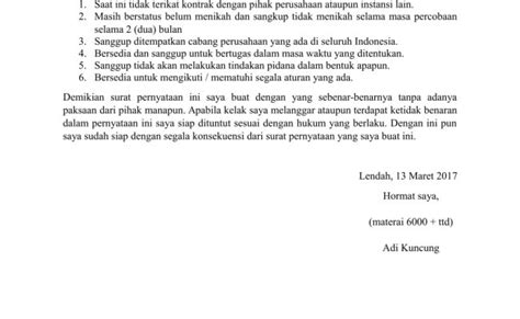 Contoh Surat Pernyataan Diri Contoh Surat Bilarasa