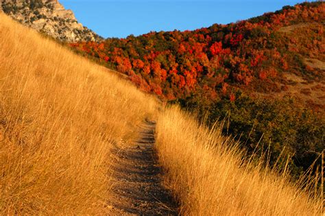 Fileautumn Mountain Trail Wikimedia Commons