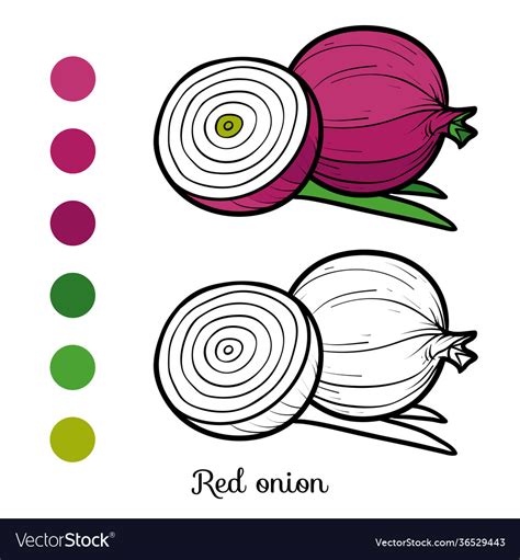 Onion Coloring Pages