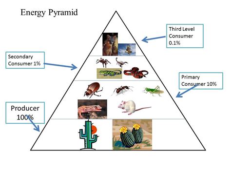 Energy Pyramid Desert