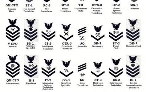 Navy Enlisted Rank Mvbezy