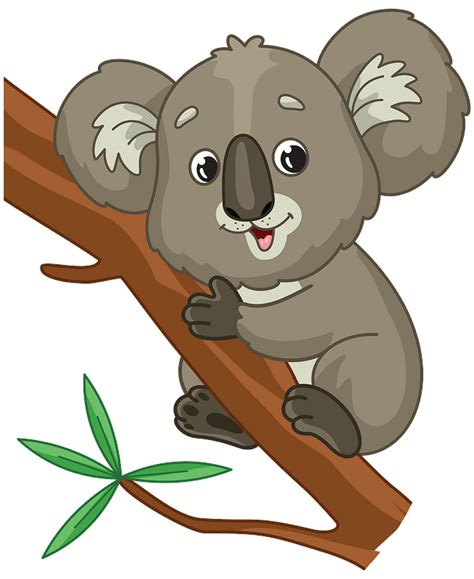 Koala Cartoon Png