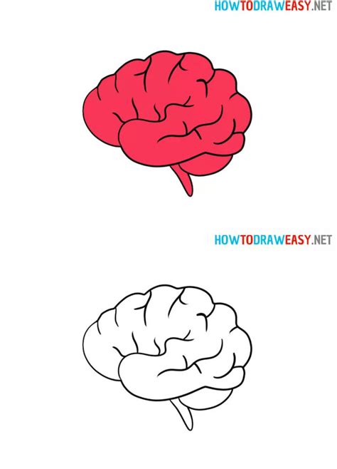 20 Easy Brain Drawing Ideas How To Draw A Brain Blitsy