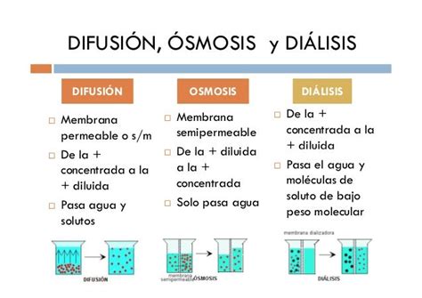 Clase 1 Introducción Aspectos Fisico Quimicos De Los Seres Vivos