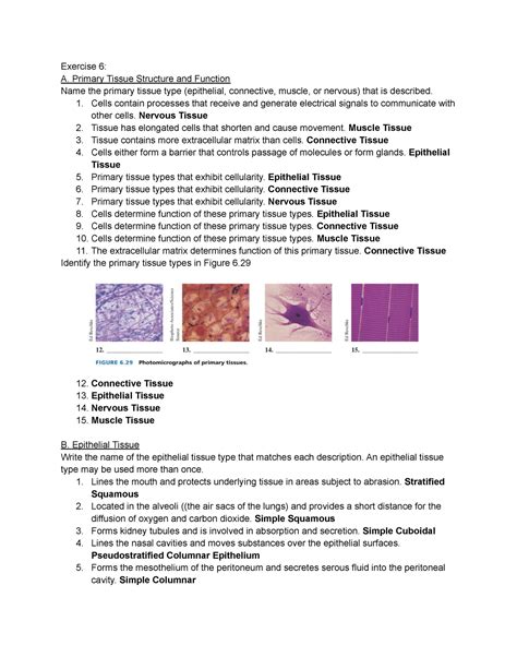 Lab Assignment Review Your Knowledge Exercise 6 Exercise 6 A