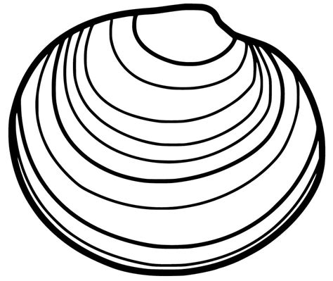 Clam With Pearl Coloring Pages